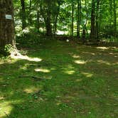 Review photo of Bonnie Brae Cabins and Campsites by Jean C., June 29, 2020