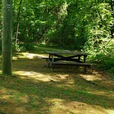 Review photo of Bonnie Brae Cabins and Campsites by Jean C., June 29, 2020