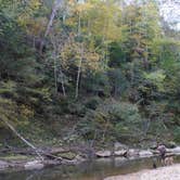 Review photo of Grove by Daniel S., November 1, 2017