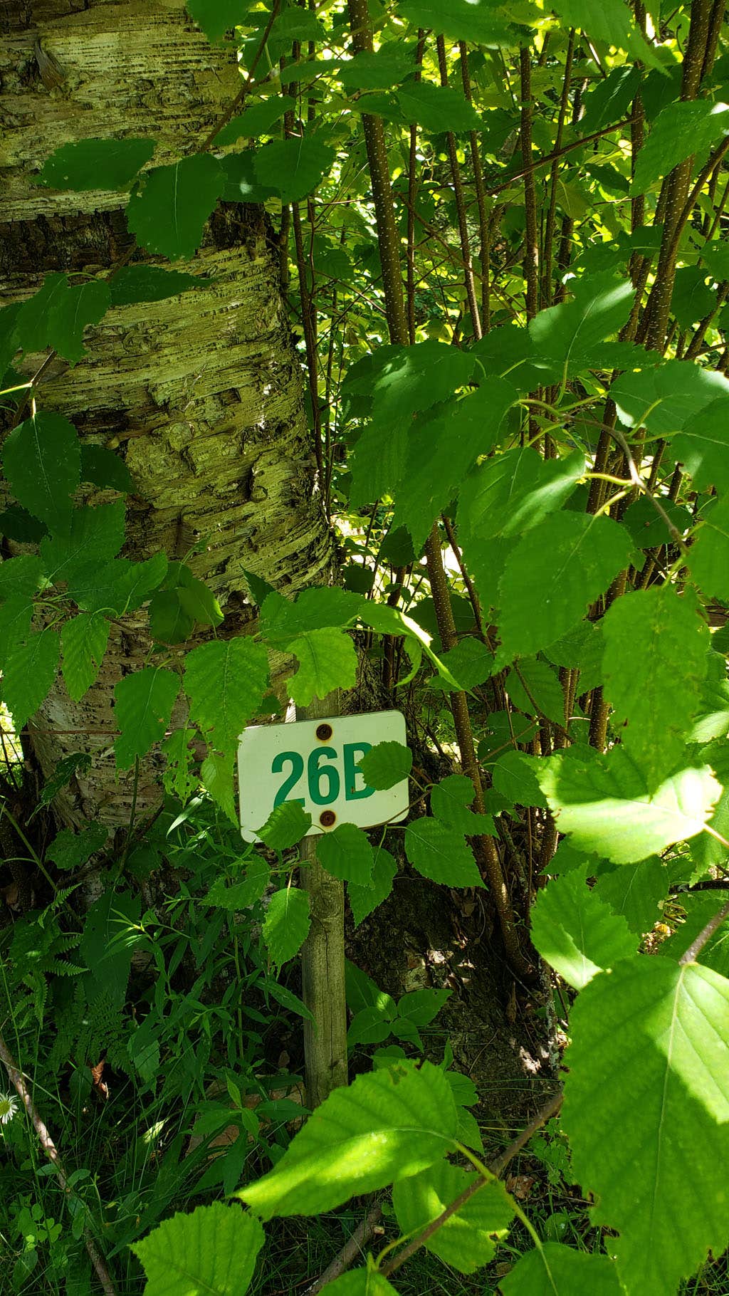 Camper-submitted photo at Bonnie Brae Cabins and Campsites near West Stockbridge, MA