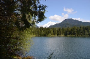 Camper submitted image from Baker Lake Horse Camp - 1