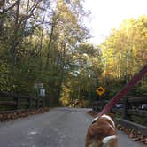 Review photo of Middle Fork Campground — Natural Bridge State Resort Park by Daniel S., November 1, 2017