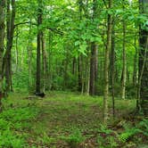 Review photo of Mount Greylock State Reservation by Jean C., June 29, 2020