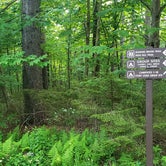 Review photo of Mount Greylock State Reservation by Jean C., June 29, 2020