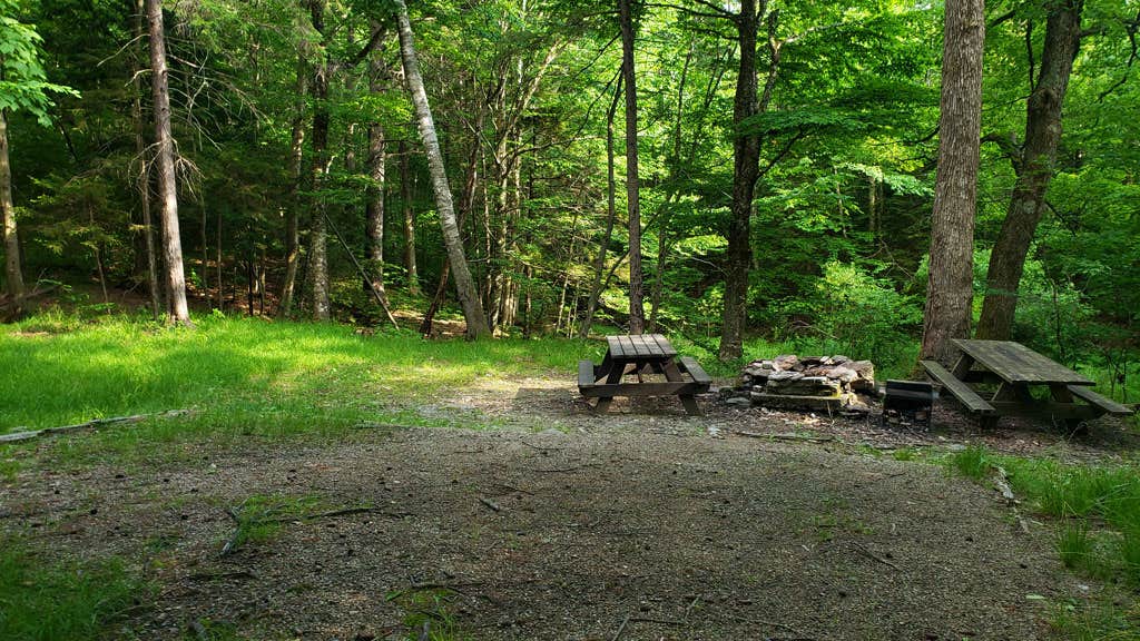 Camper-submitted photo at Sperry Road Campground — Mount Greylock State Reservation near West Stockbridge, MA
