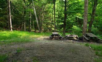 Camping near Seth Warner Shelter: Mount Greylock State Reservation, New Ashford, Massachusetts