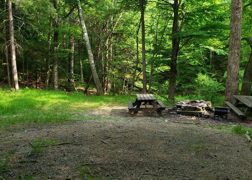 Mt. Greylock State Reservation Camping The Dyrt