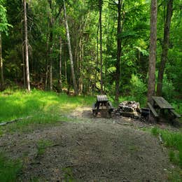 Mt. Greylock State Reservation