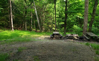 Camper-submitted photo from Mount Greylock State Reservation