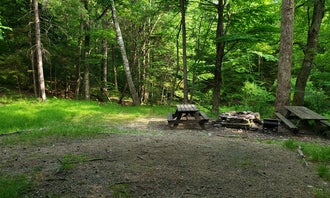 Camping near Seth Warner Shelter: Mount Greylock State Reservation, New Ashford, Massachusetts