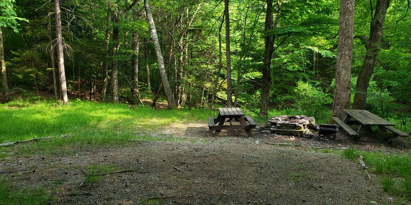 Camper submitted image from Sperry Road Campground — Mount Greylock State Reservation