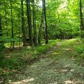 Review photo of Mount Greylock State Reservation by Jean C., June 29, 2020