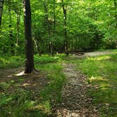 Review photo of Mount Greylock State Reservation by Jean C., June 29, 2020