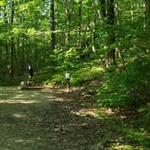 Review photo of Mount Greylock State Reservation by Jean C., June 29, 2020