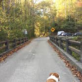 Review photo of Middle Fork Campground — Natural Bridge State Resort Park by Daniel S., November 1, 2017