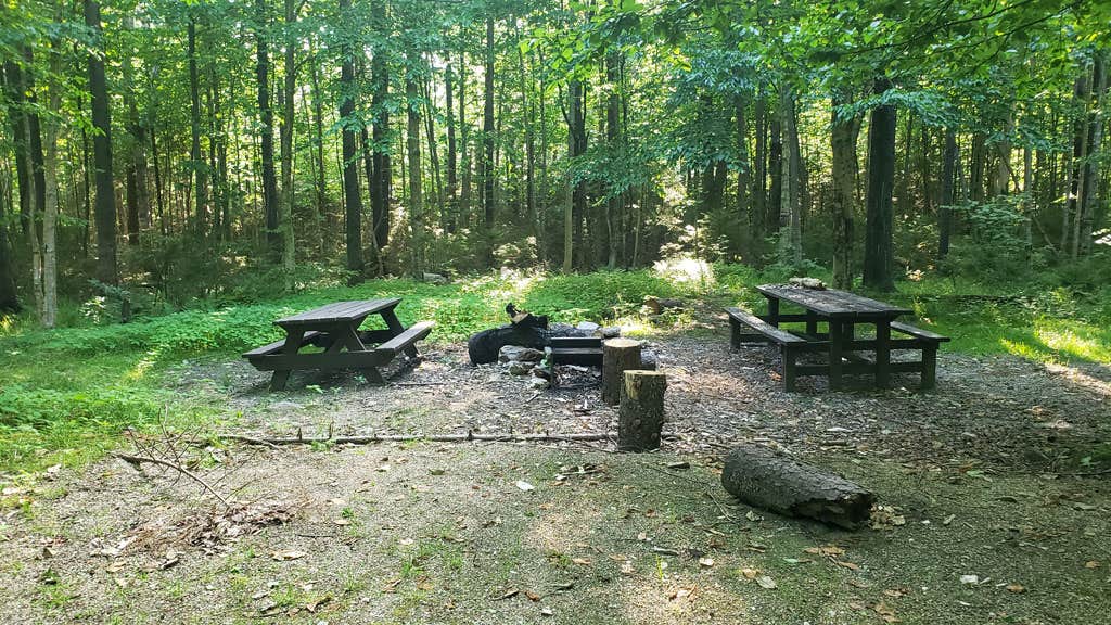 Jean C.'s photo at Sperry Road Campground — Mount Greylock State Reservation near North Adams, MA