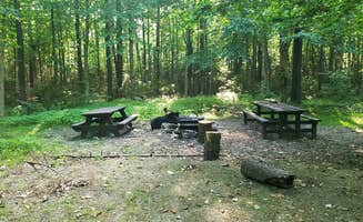 Jean C.'s photo at Sperry Road Campground — Mount Greylock State Reservation near New Ashford, MA