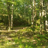 Review photo of Mount Greylock State Reservation by Jean C., June 29, 2020