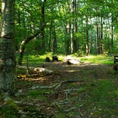 Review photo of Mount Greylock State Reservation by Jean C., June 29, 2020