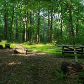 Review photo of Mount Greylock State Reservation by Jean C., June 29, 2020