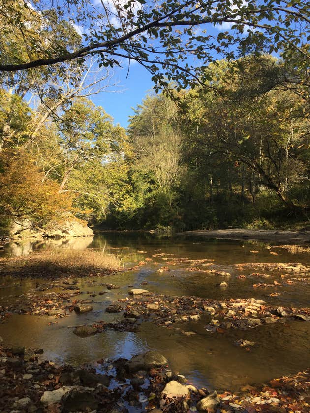 Middle Fork Campground Camping The Dyrt