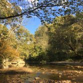 Review photo of Middle Fork Campground — Natural Bridge State Resort Park by Daniel S., November 1, 2017