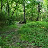 Review photo of Mount Greylock State Reservation by Jean C., June 29, 2020