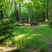 Review photo of Mount Greylock State Reservation by Jean C., June 29, 2020