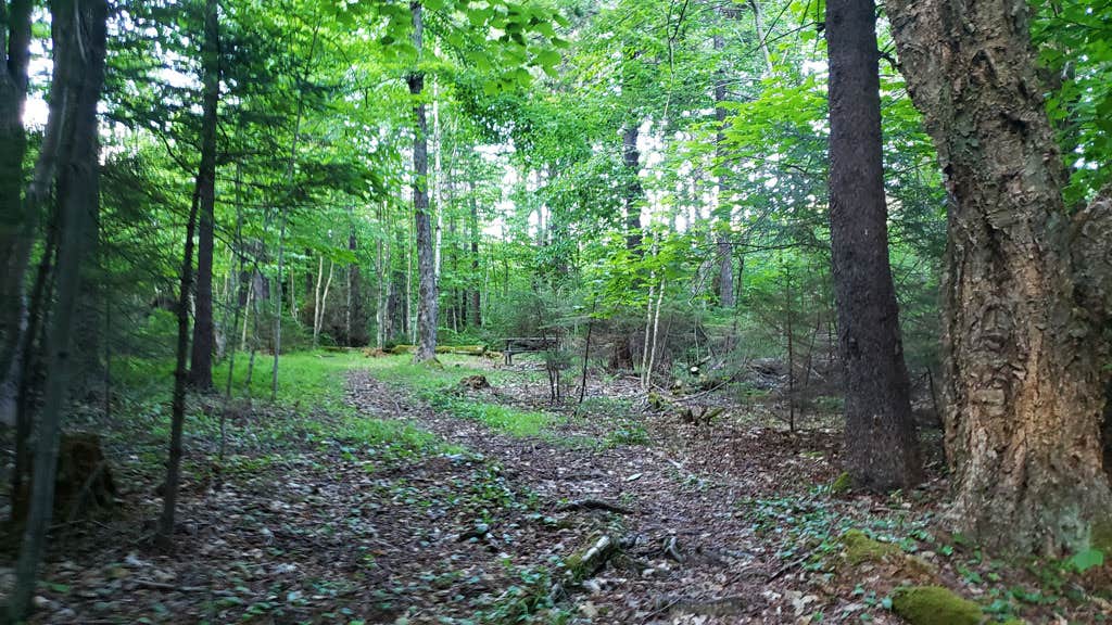 Camper-submitted photo at Sperry Road Campground — Mount Greylock State Reservation near West Stockbridge, MA