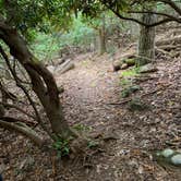 Review photo of Rocky Knob Campground — Blue Ridge Parkway by Jennifer G., June 29, 2020