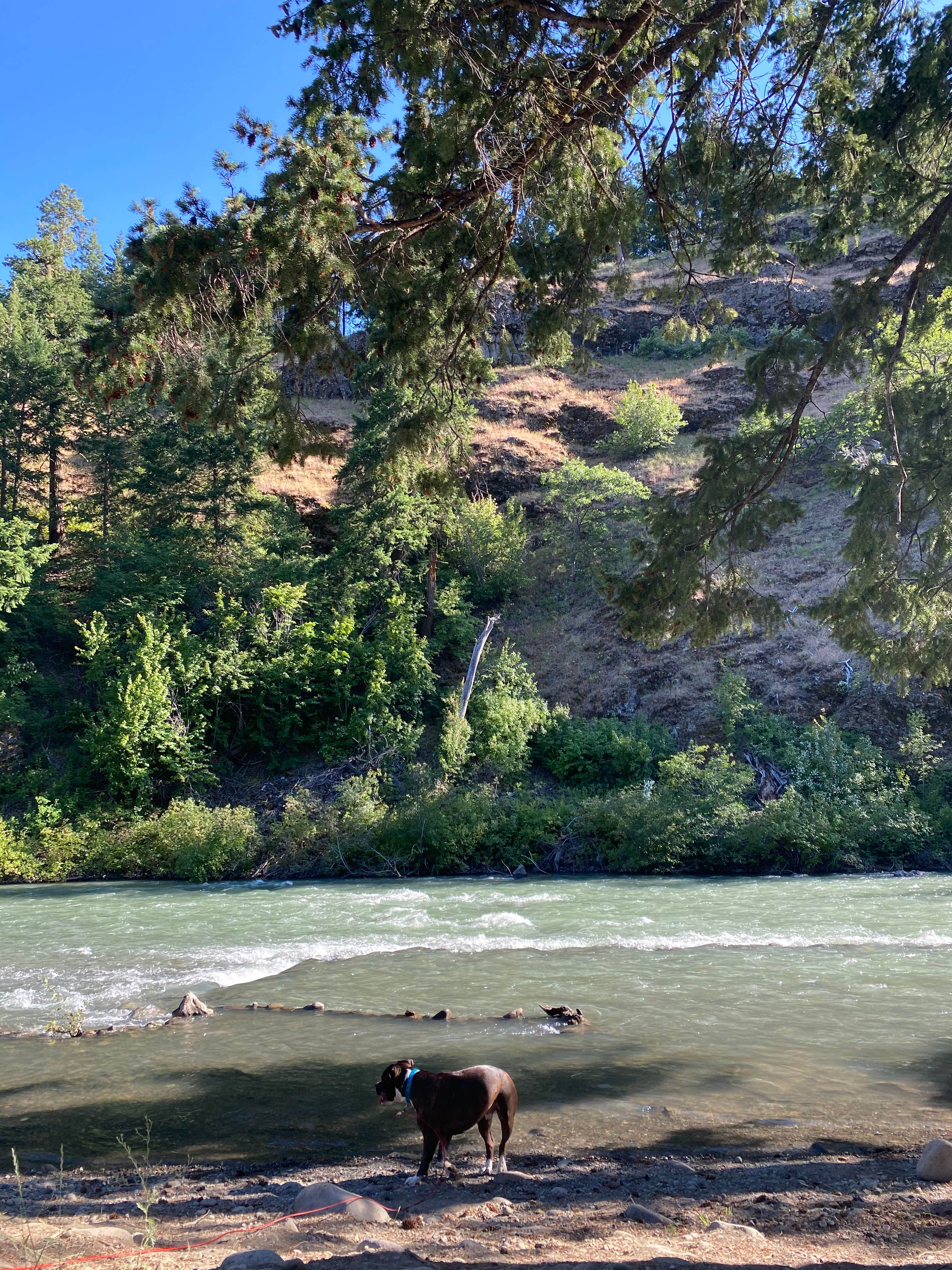 Camper-submitted photo at Windy Point Campground near Ellensburg, WA