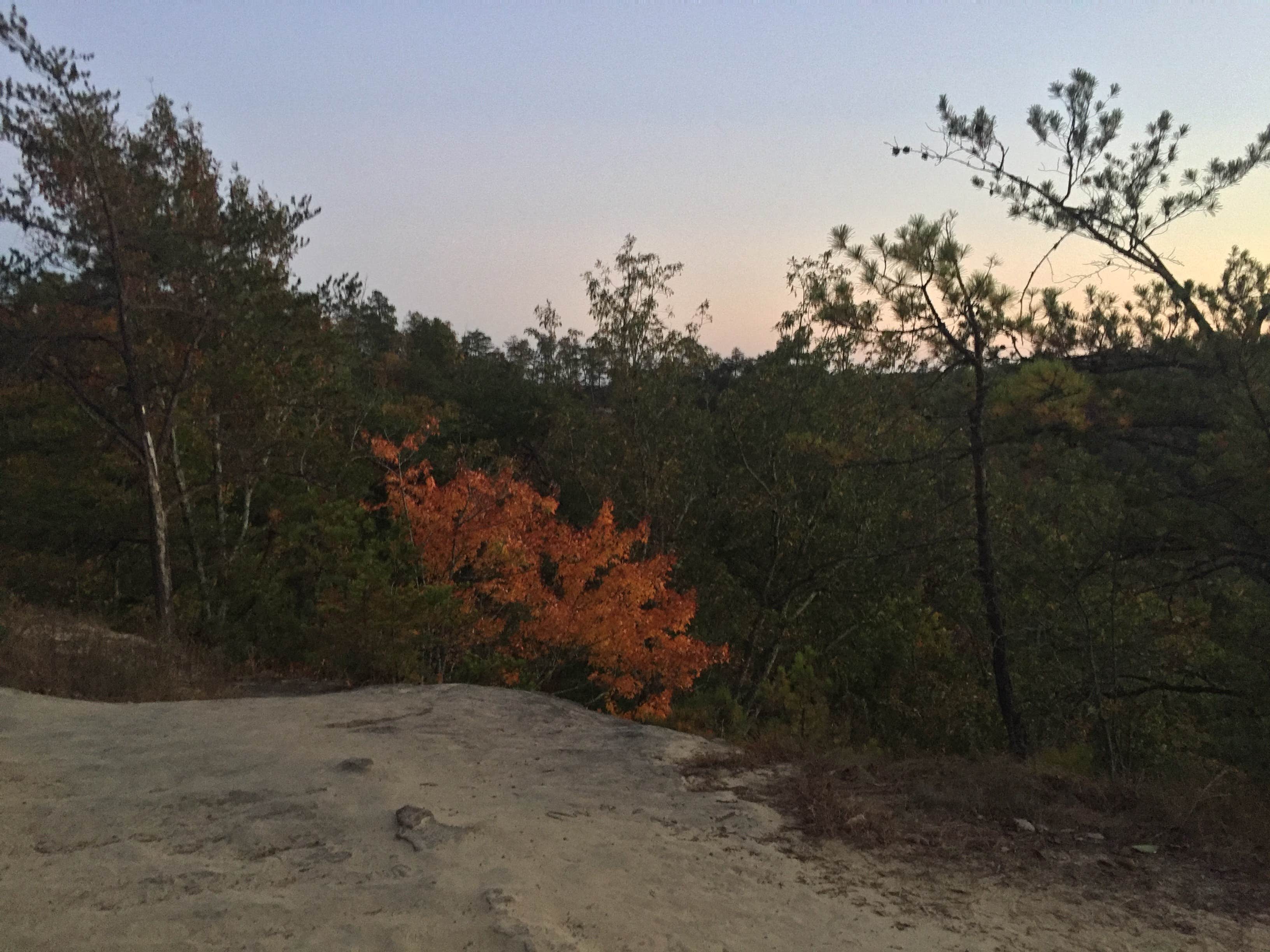 Middle Fork Campground Camping The Dyrt