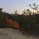 Review photo of Middle Fork Campground — Natural Bridge State Resort Park by Daniel S., November 1, 2017
