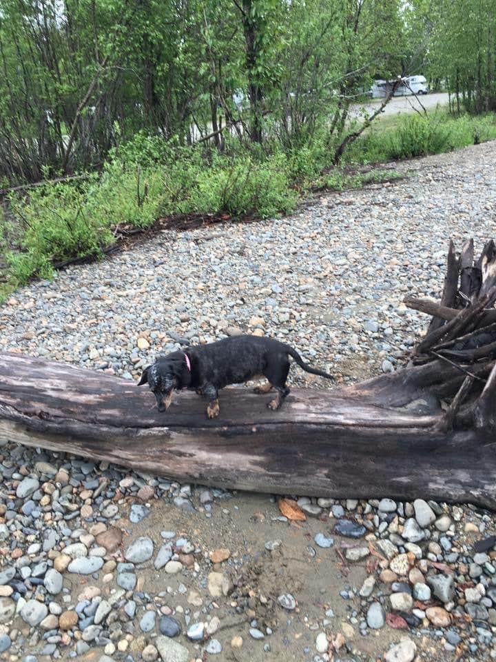 Camper-submitted photo at Willow Creek Resort near Willow, AK
