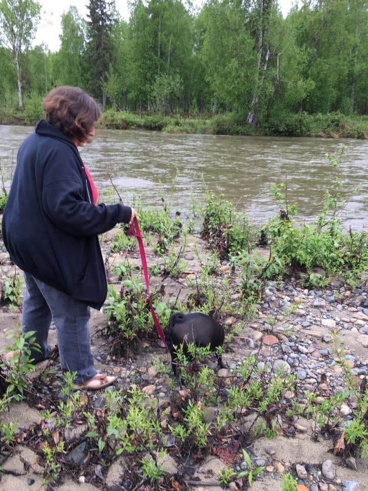 Camper-submitted photo at Willow Creek Resort near Willow, AK