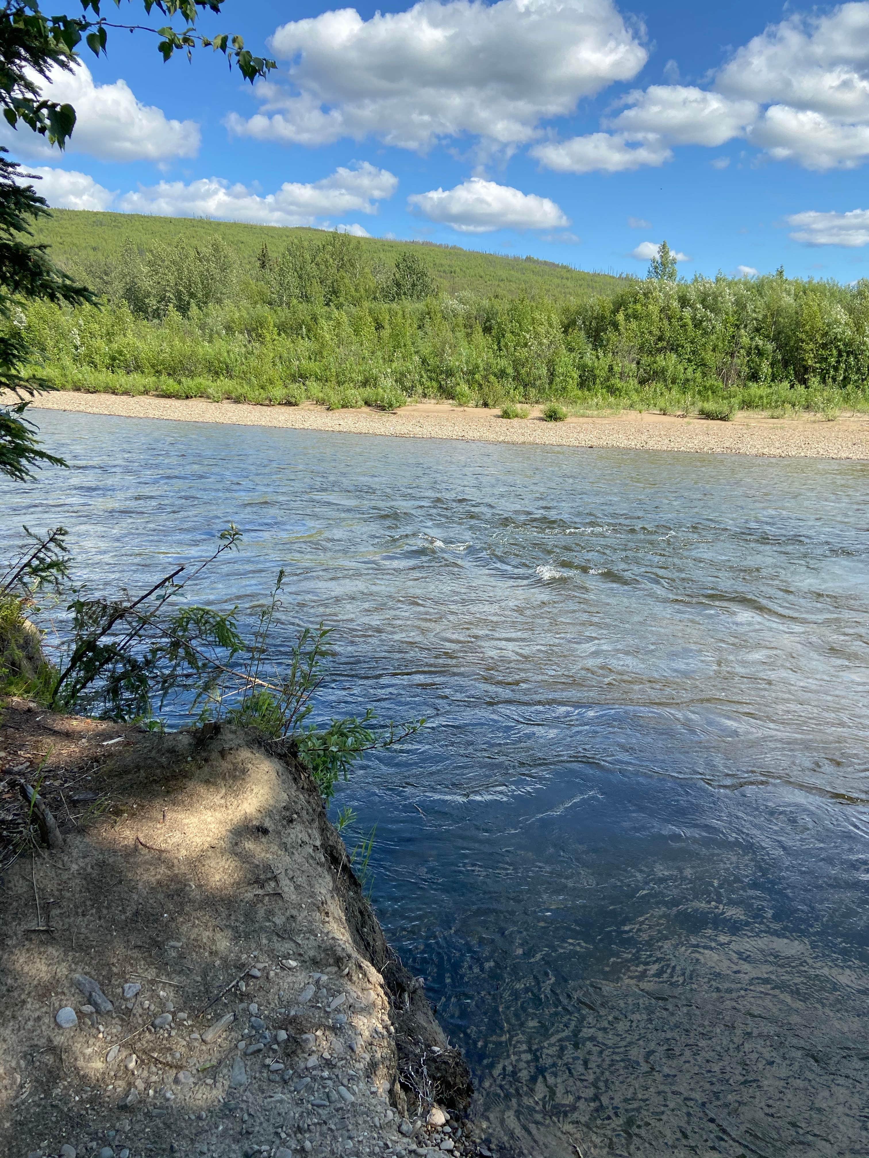 Camper submitted image from Upper Chatanika River State Rec Area - 4