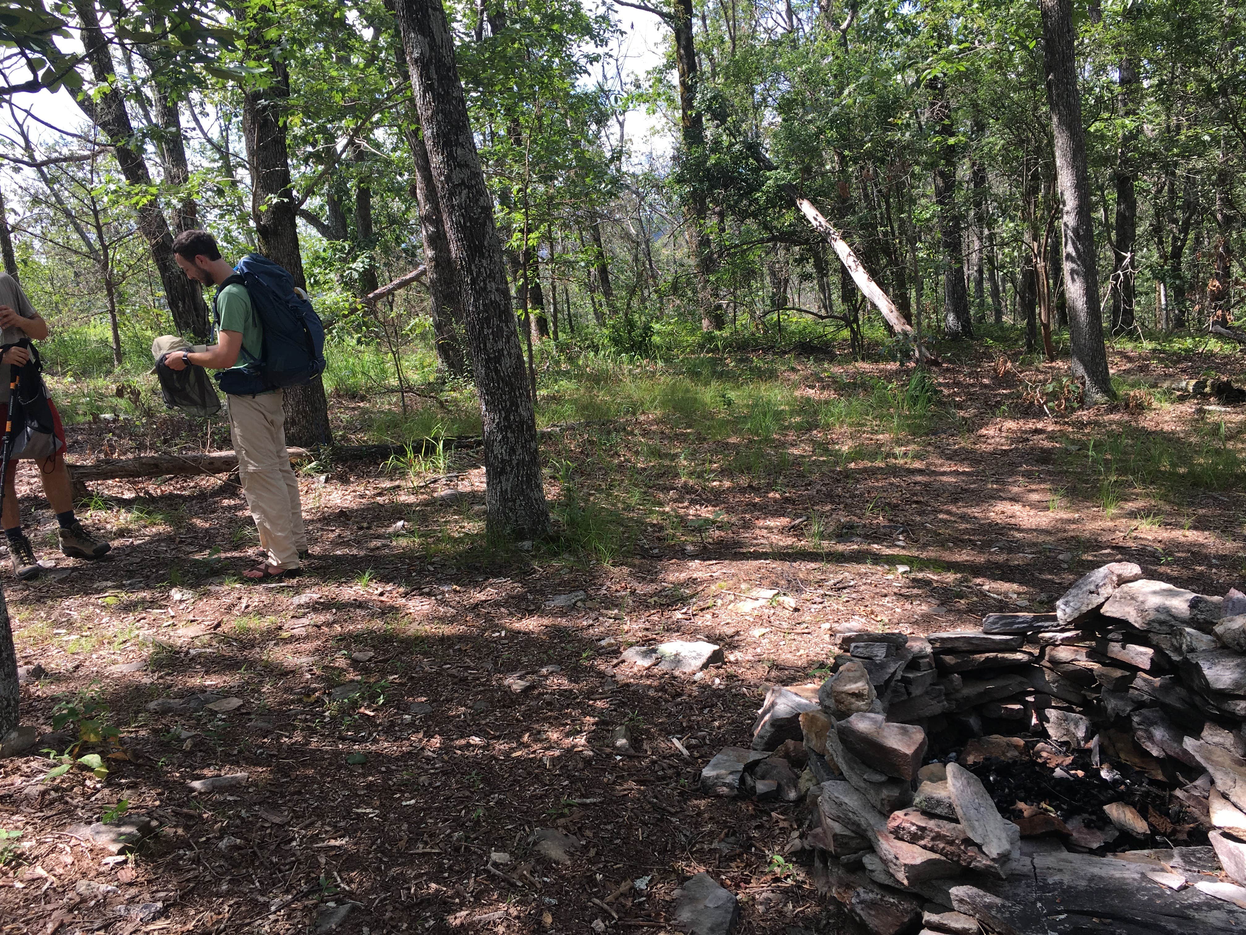 Camper submitted image from Pinhoti Trail Backcountry Campground — Cheaha State Park - 4
