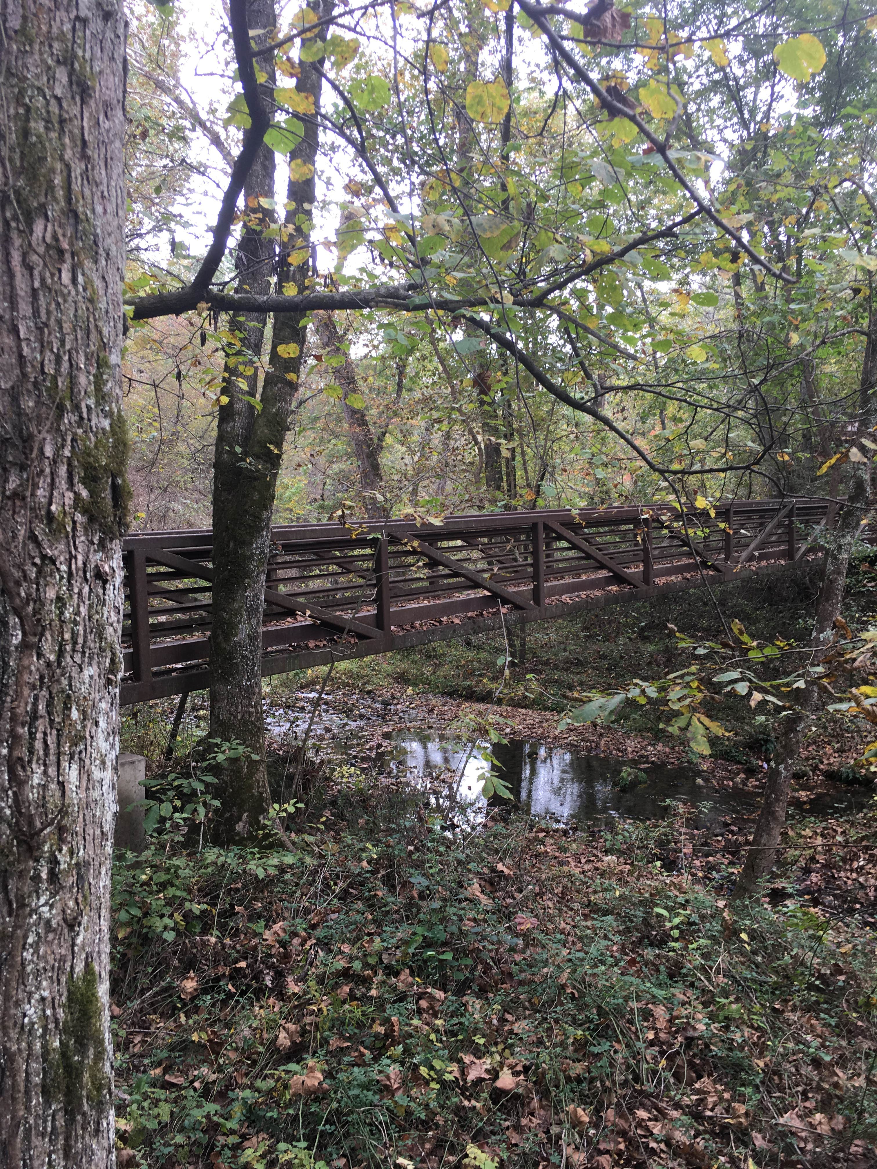 Camper submitted image from Natural Falls State Park Campground - 3