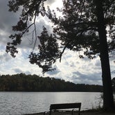 Review photo of Lake Wedington -- Temporarily CLOSED by Annie C., November 1, 2017