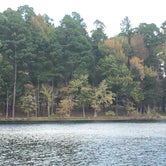 Review photo of Lake Wedington -- Temporarily CLOSED by Annie C., November 1, 2017