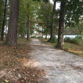 Review photo of Lake Wedington -- Temporarily CLOSED by Annie C., November 1, 2017