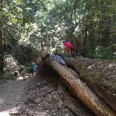 Review photo of Elk Prairie Campground — Prairie Creek Redwoods State Park by Kate L., July 2, 2016