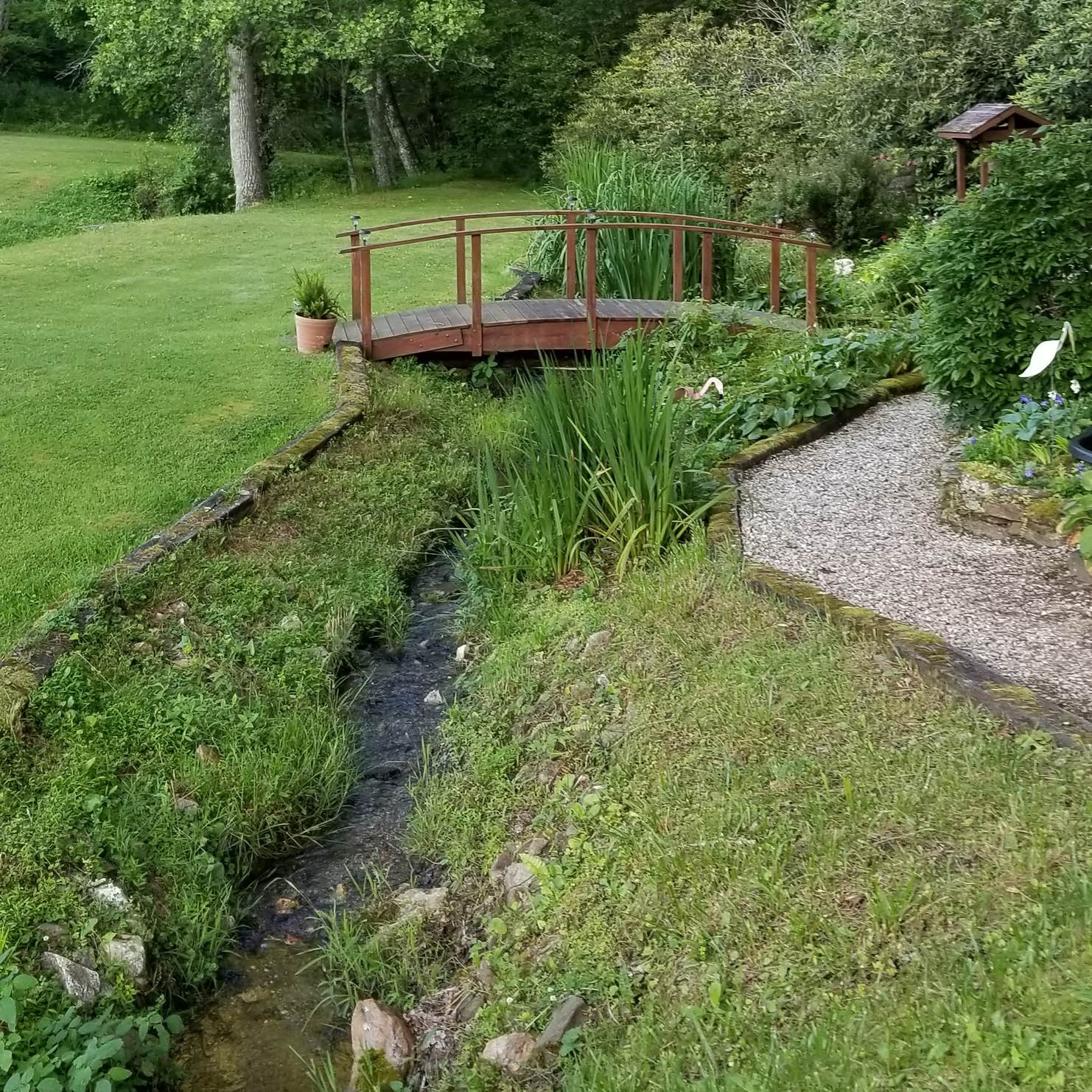 Spruce Pine Campground Camping The Dyrt