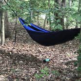Review photo of Pocahontas State Park Campground by RL , June 29, 2020