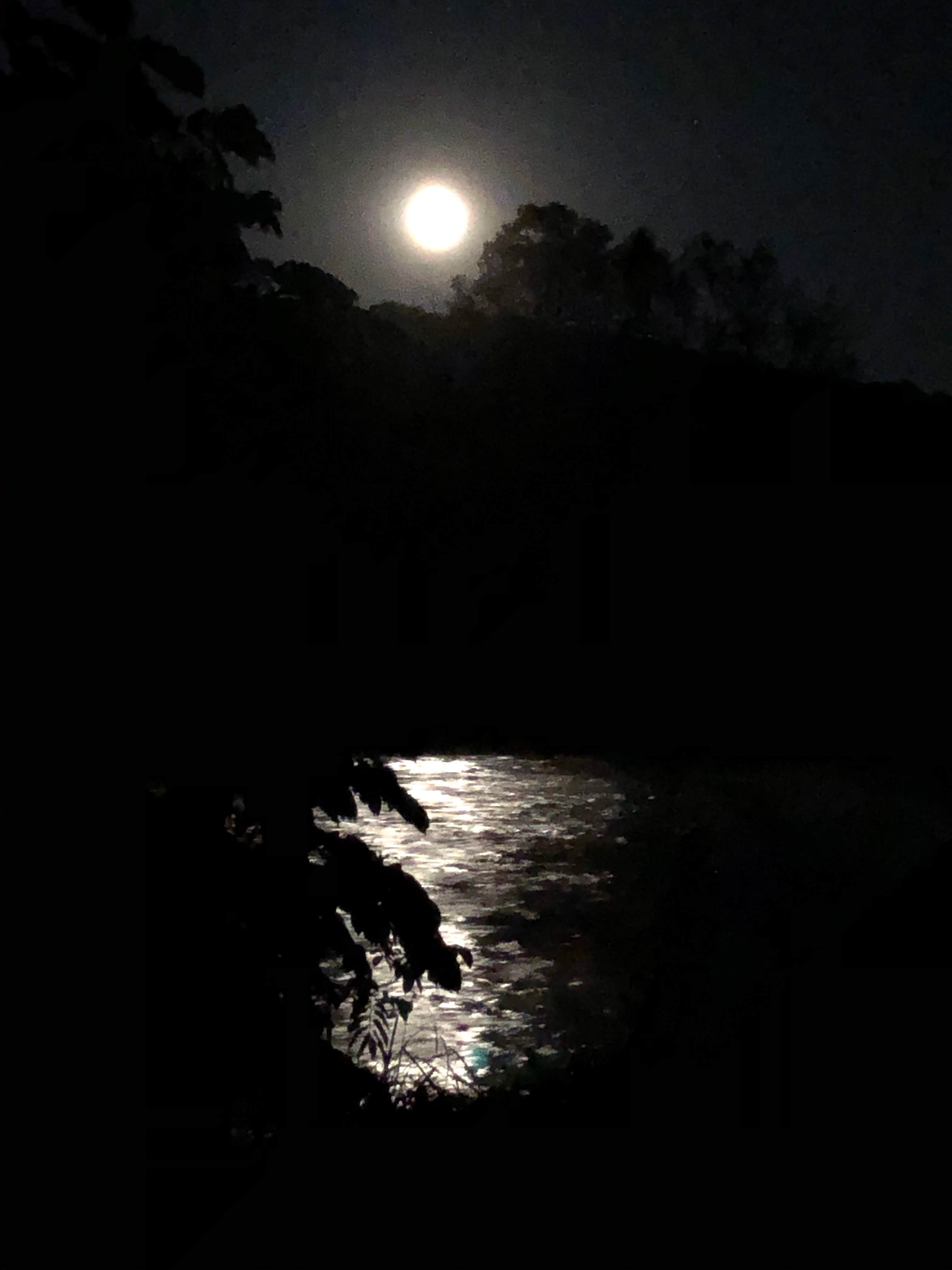 Camper-submitted photo at Low Water Bridge Campground near Flint Hill, VA