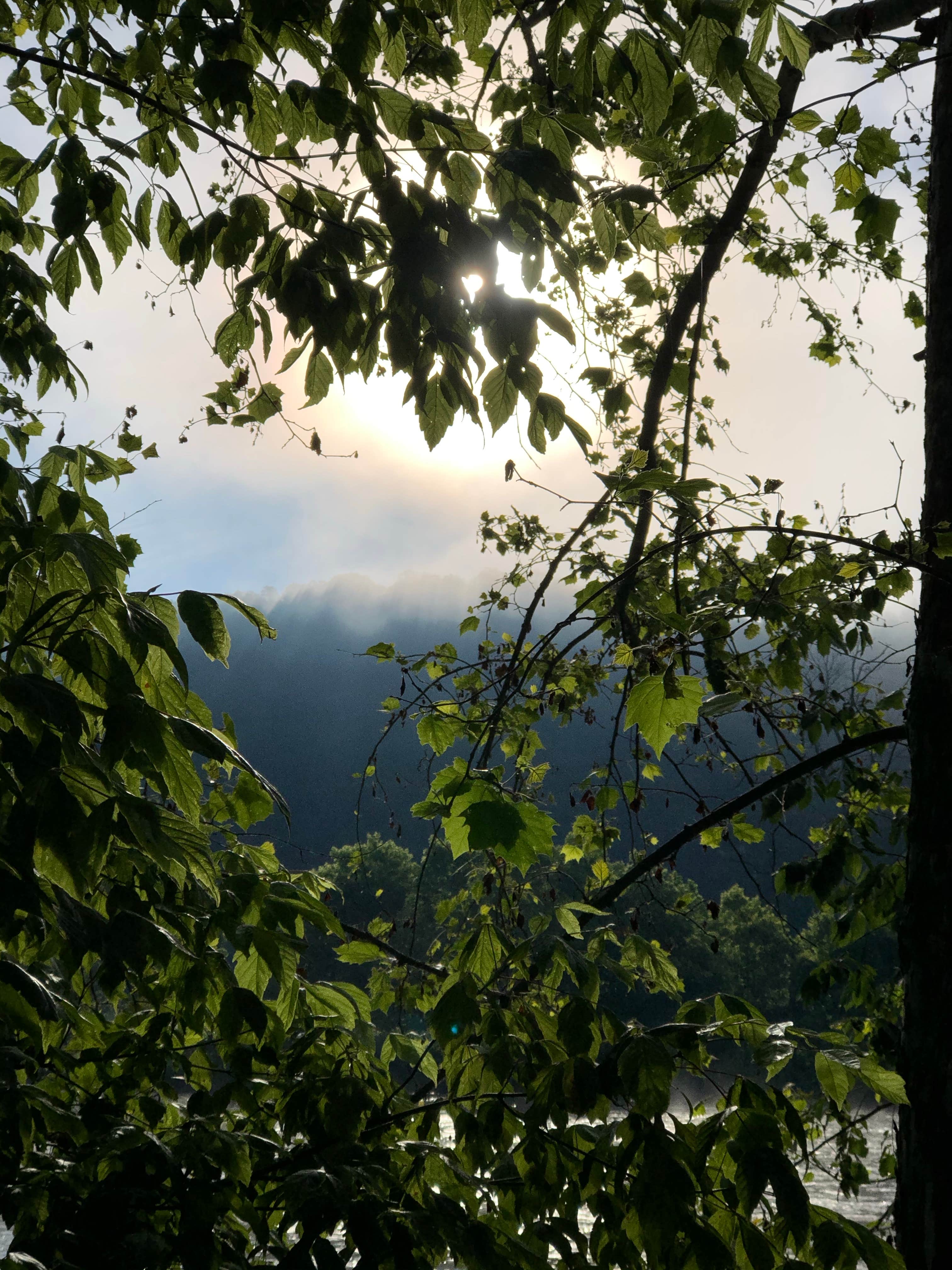 Camper-submitted photo at Low Water Bridge Campground near Flint Hill, VA
