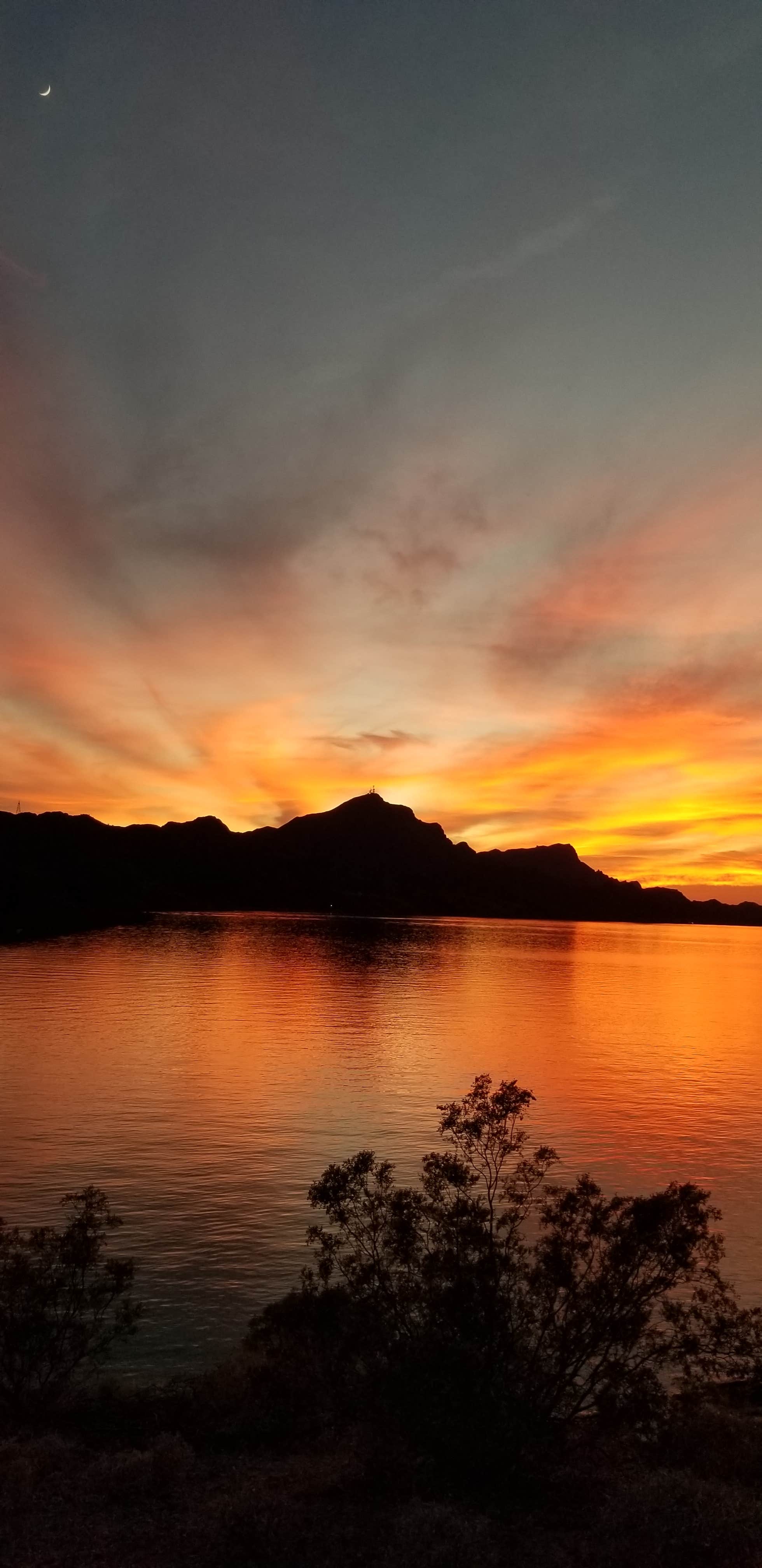 Camper submitted image from Havasu Springs Resort - 3