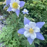 Review photo of Allen Basin Reservoir by Spencer B., June 29, 2020