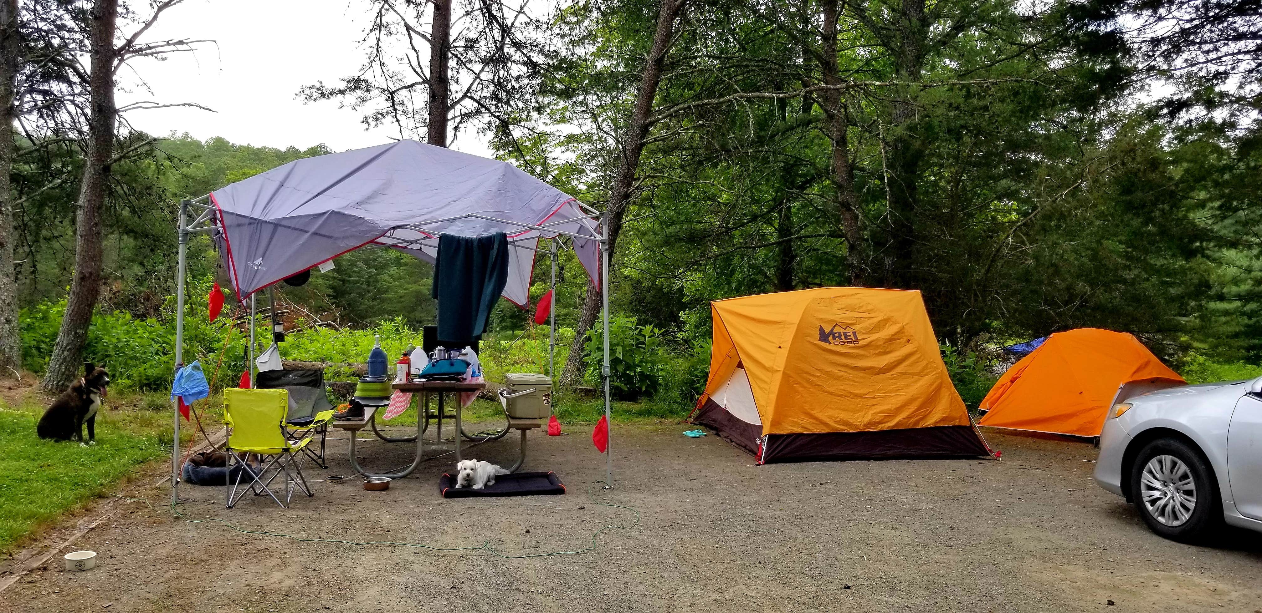 Camper-submitted photo at Stone Mountain State Park Campground in North Carolina