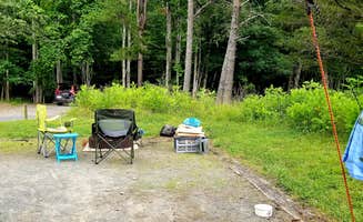 Katrin M.'s photo at Stone Mountain State Park Campground near Elkin, NC
